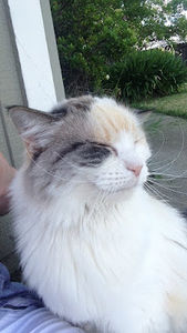 Meet your Posher, Hailey